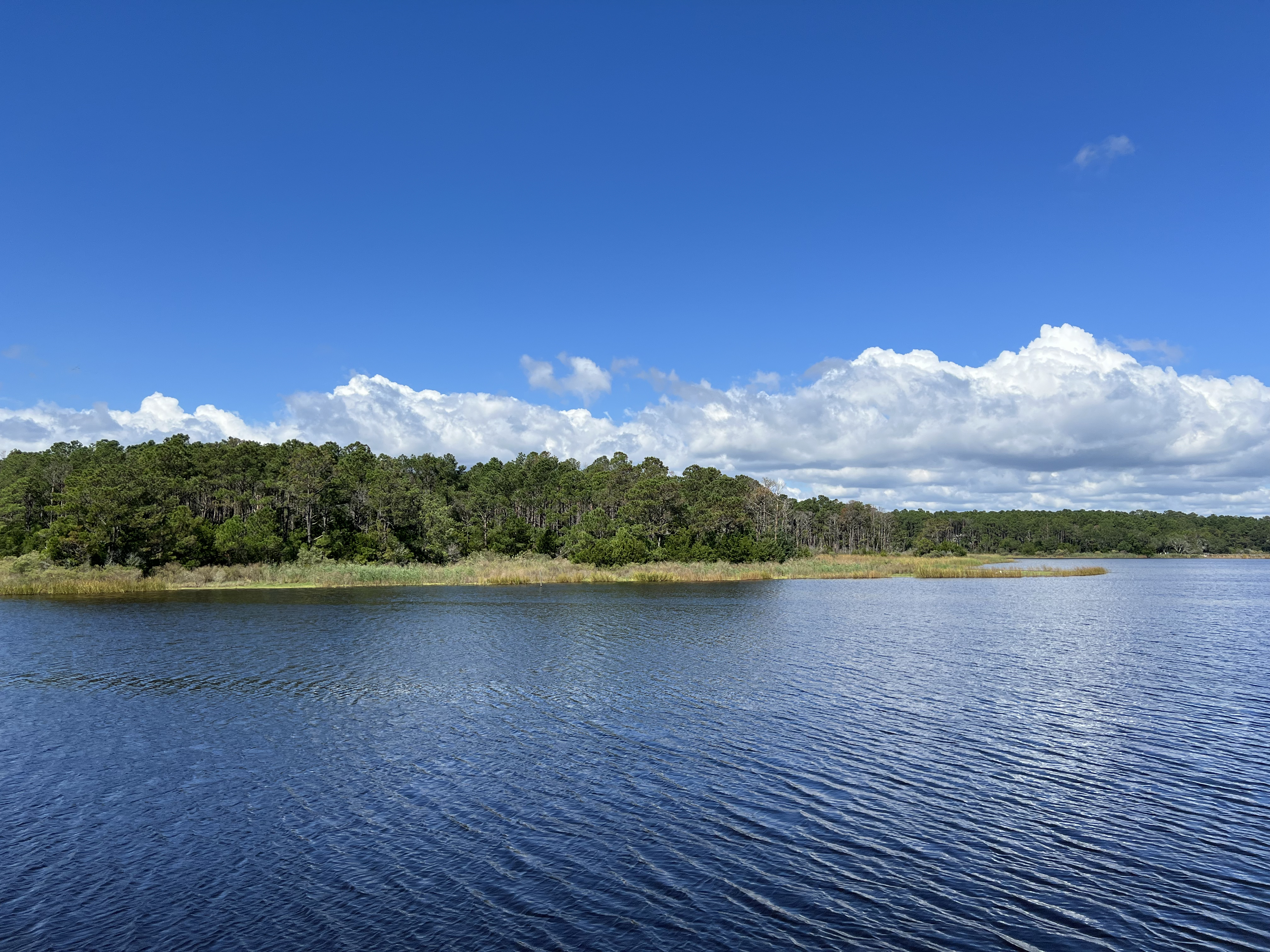 ./2024/10 - Myrtle Beach/IMG_2895.jpg